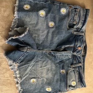 Judy Blue shorts size Large